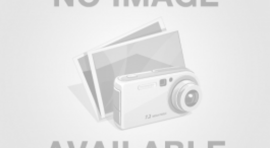 غزني : شلګر کې قومندان او ۶ اربکيان وژل شوي