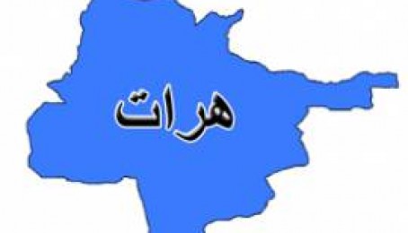 هرات کي دوه تنه ماشومان وژل شوي