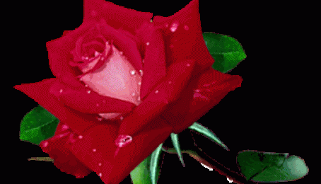 د شهید مولوي نسیم الله صدیقي ژوند ته کتنه