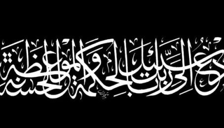 په ۲۰۱۶کال کي ۶۷۷۳ تنه د اسلامي امارت سره یو ځای شوي